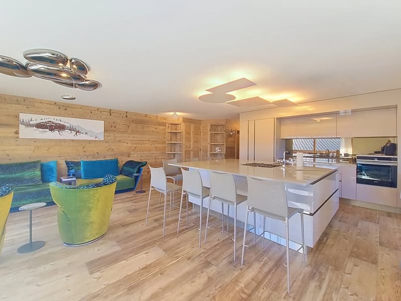 Two exceptional adjacent apartments in Nendaz (3)