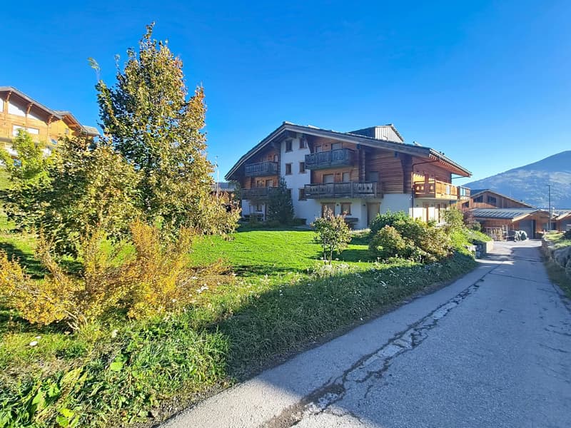 Luxury 3-room apartment, like new, in Nendaz! (13)