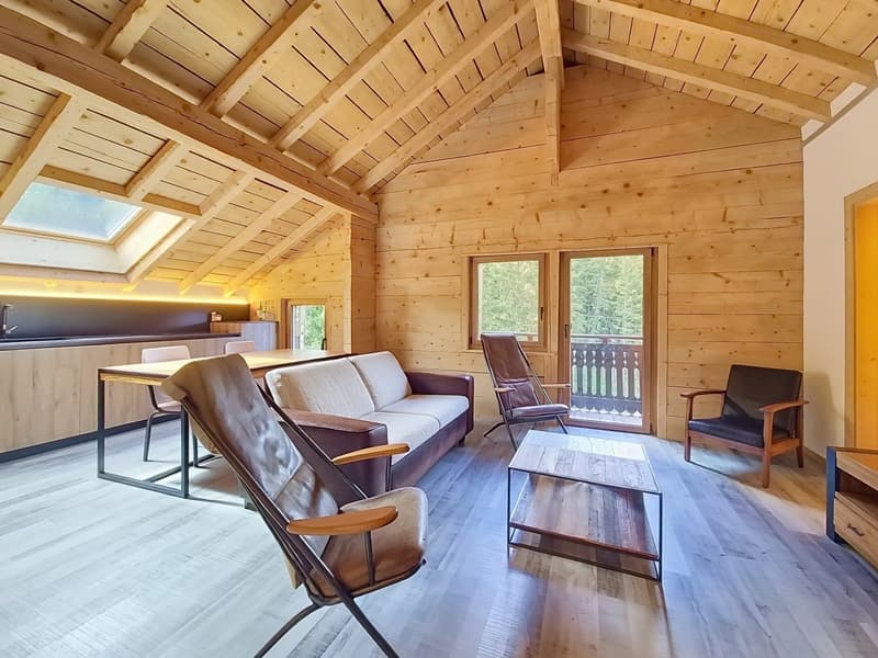 Building in co-ownership, 7 lots in Planchouet-Nendaz! (3)