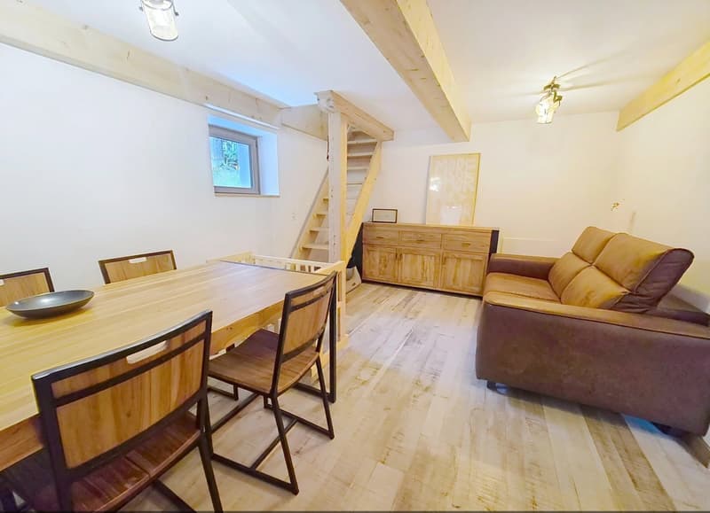 Building in co-ownership, 7 lots in Planchouet-Nendaz! (10)
