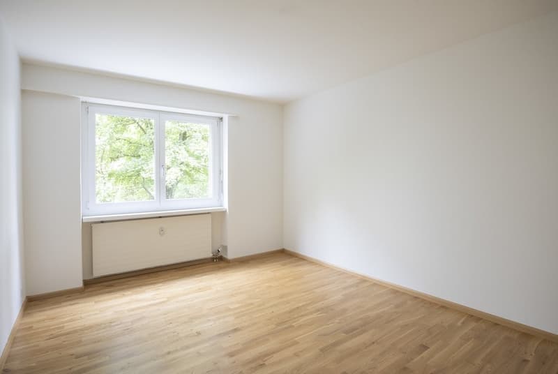 Tschaepperliring_Zimmer_Bild.png