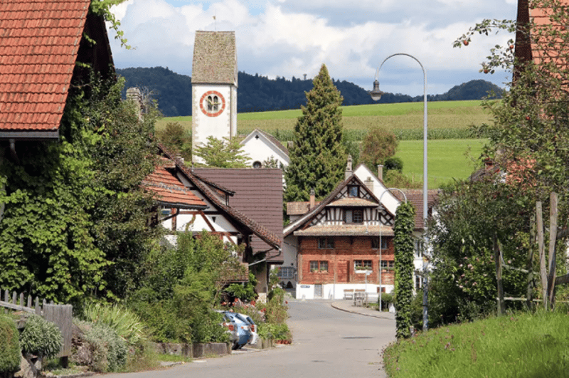 3 Spacious New-Build Row Houses for Rent in Rifferswil (12)