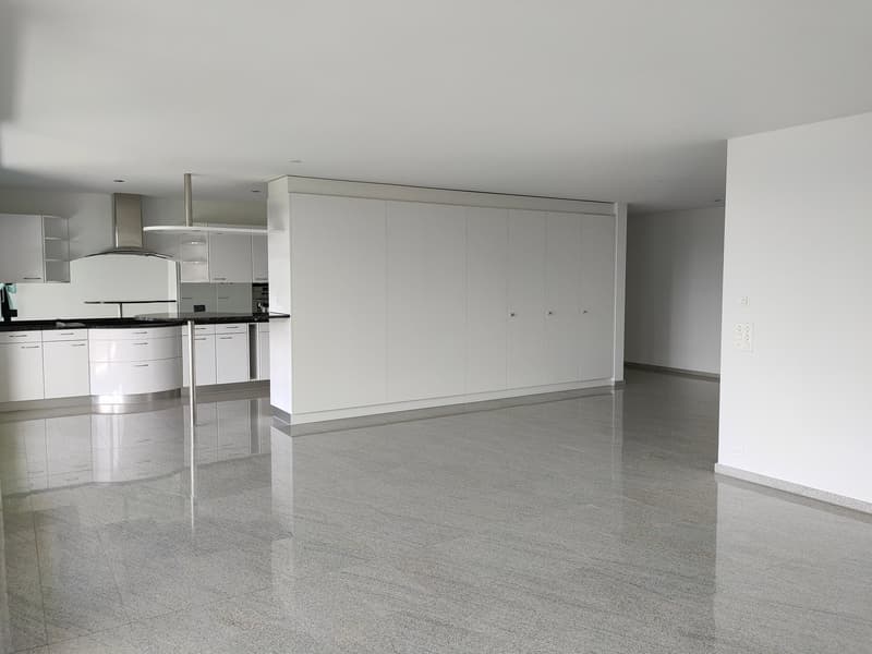 Spacious 4.5-Room Terrace Apartment in Zug – Available from September 2026 (5)