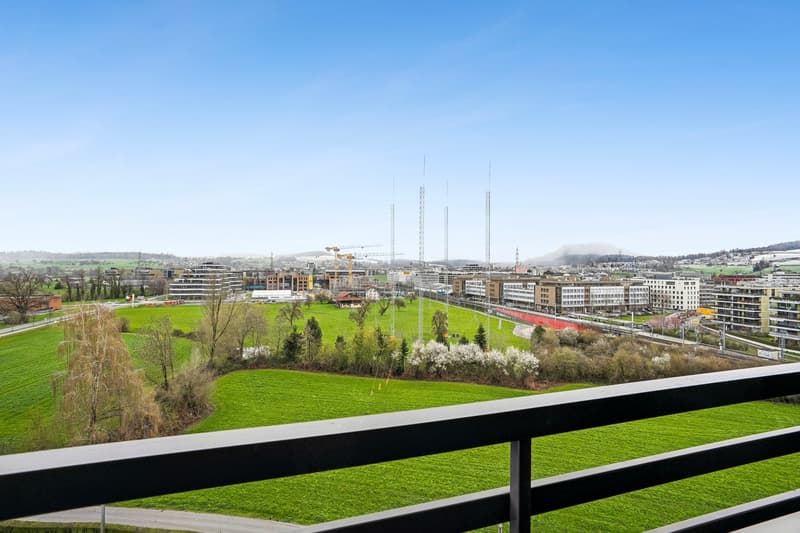 Stunning Furnished 5.5-Room Penthouse Apartment in Zug – Available Immediately (11)