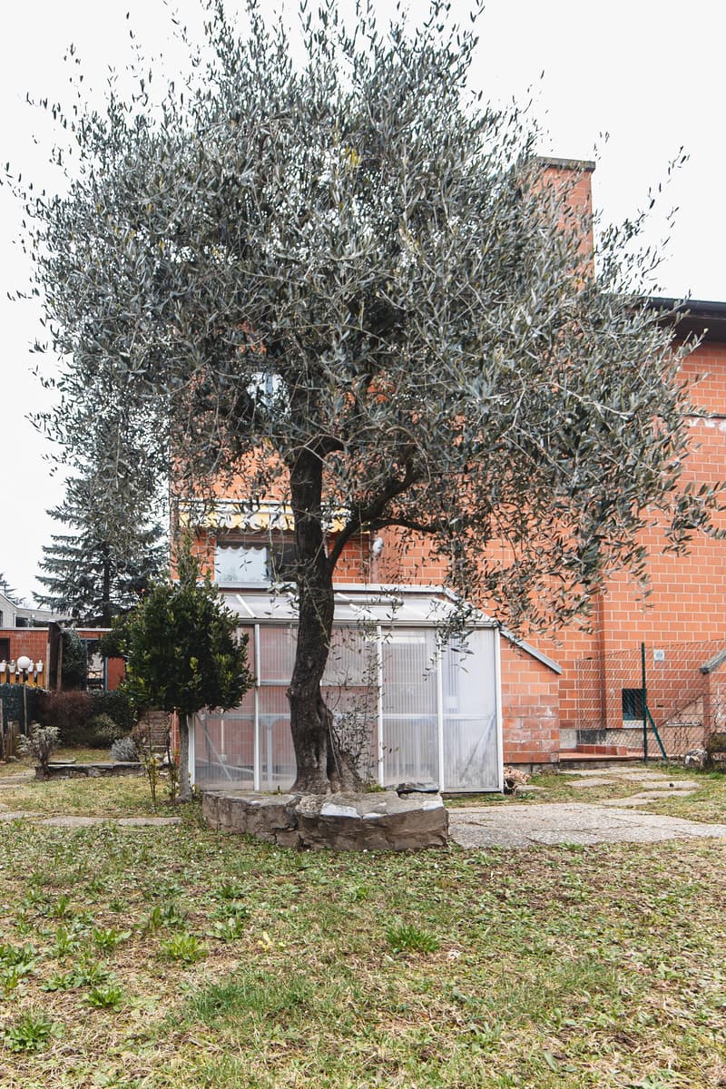 Charming Semi-Detached House with 5.5 Rooms in Chiasso – Available Immediately! (24)