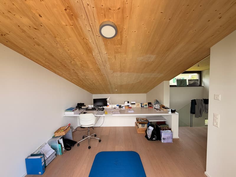 Doppel-Einfamilienhaus - Modernes Wohnen mit Pool und Minergie-Standard (7)