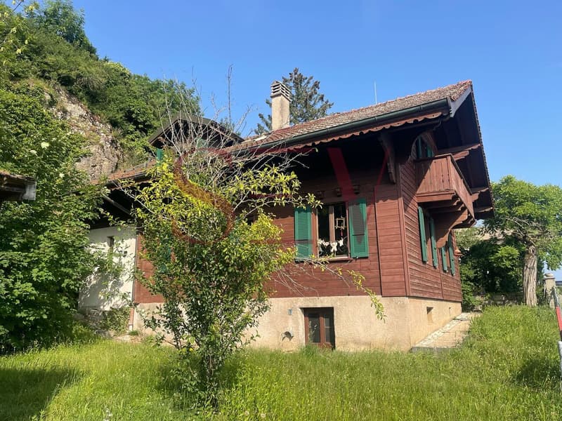2 logements de 3.5 pièces - Chalet de caractère avec vue dégagée (3)