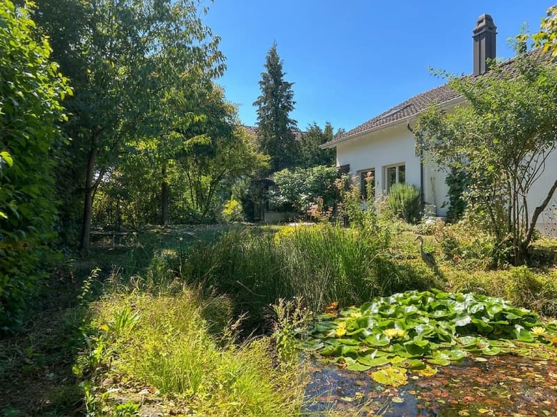 5-Zimmer-Einfamilienhaus mit Garten in Wiesendangen kaufen (2)