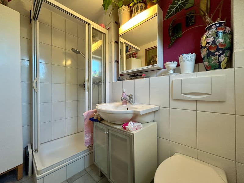 5-Zimmer-Einfamilienhaus mit Garten in Wiesendangen kaufen (6)