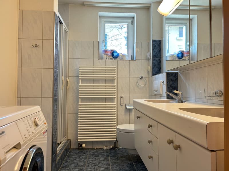 Zweifamilienhaus mit 2 Wohnungen und 7 Zimmern in Häuslenen kaufen (7)