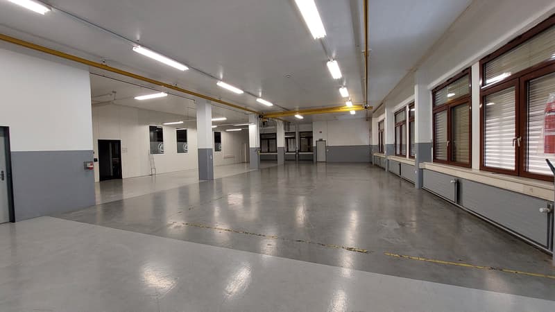 Gewerbe-/Produktionsflächen in Ursenbach mieten (4)