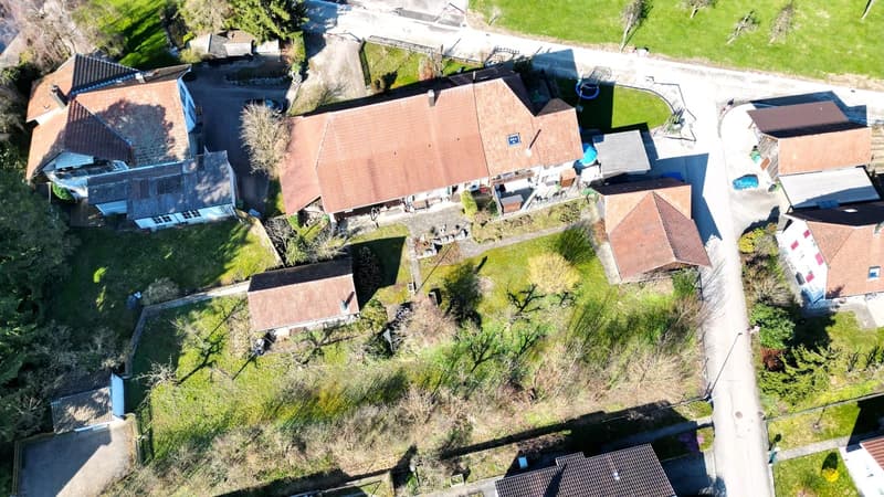 Wohnen und Entwickeln: Bauernhaus mit Landreserve in Attiswil (1)