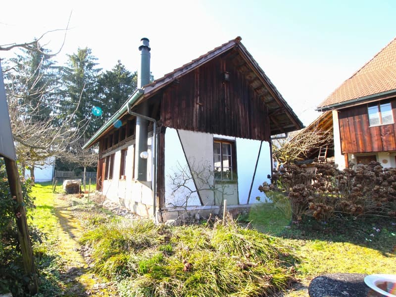 Wohnen und Entwickeln: Bauernhaus mit Landreserve in Attiswil (12)