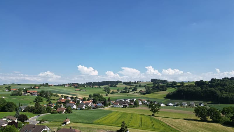 6.5-Zimmer-Villa mit grossem Grundstück in Ueberstorf kaufen (8)