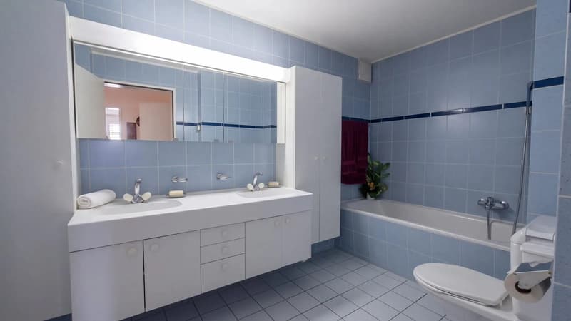 Attraktive 4.5-Zimmer-Wohnung mit Cheminée in Biberist und viel Gestaltungsspielraum (6)