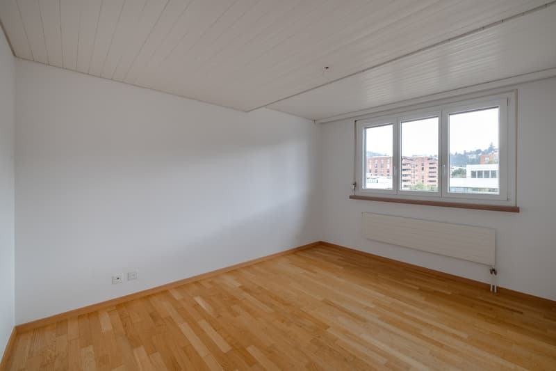 4 Bedroom Apartment, 9000 St. Gallen (4)