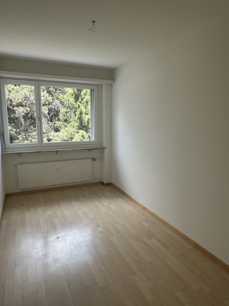 Your Home in Reinach (7)