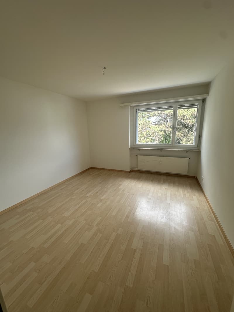 Your Home in Reinach (5)