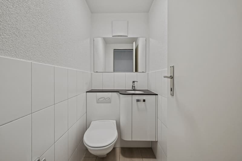 Ihr Zuhause in Reinach (10)