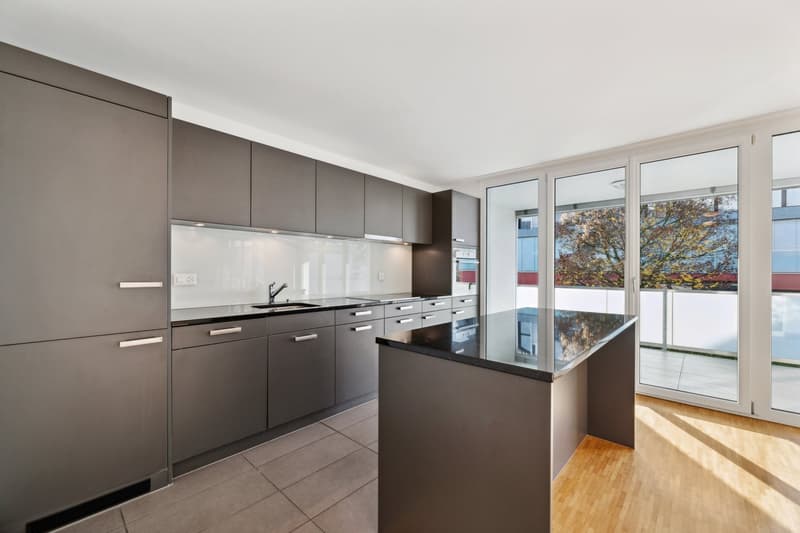 Modern apartment seeking new tenants (4)
