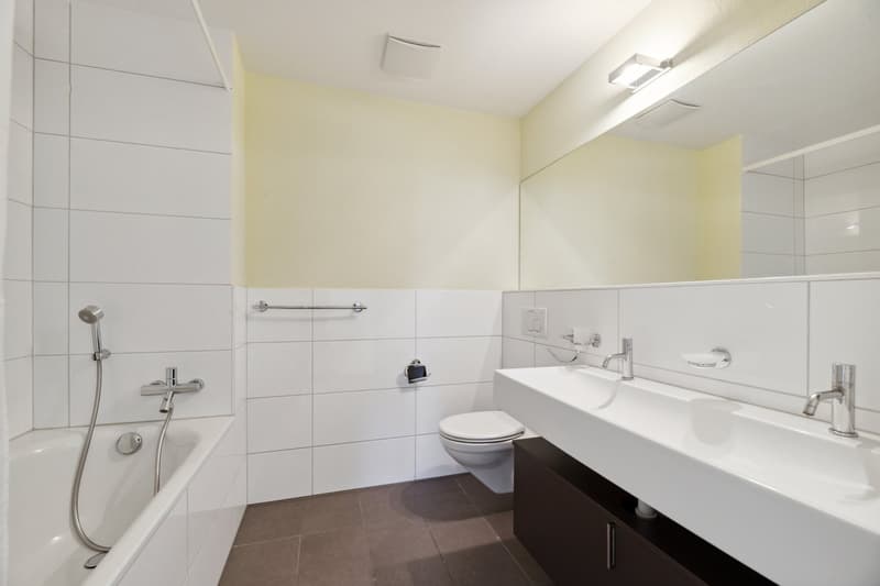 Modern apartment seeking new tenants (2)