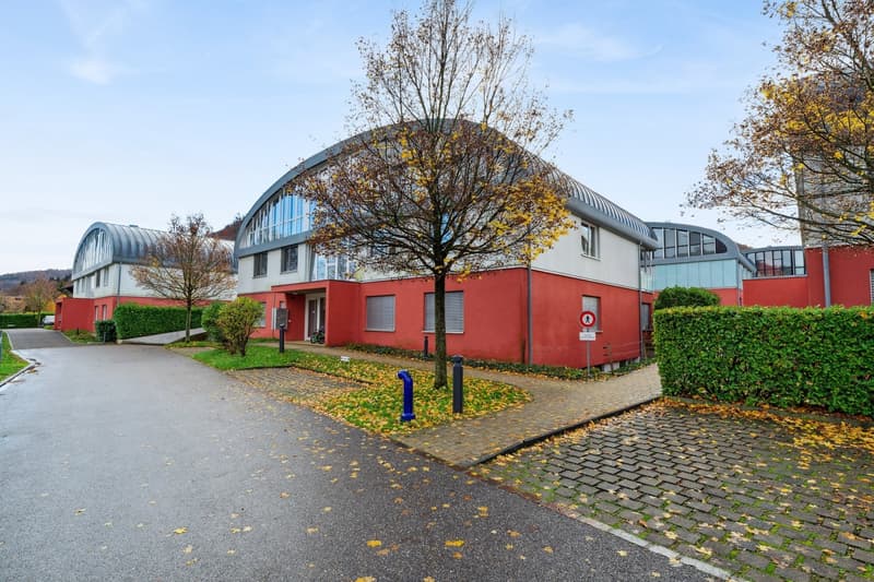 Modern apartment seeking new tenants (1)