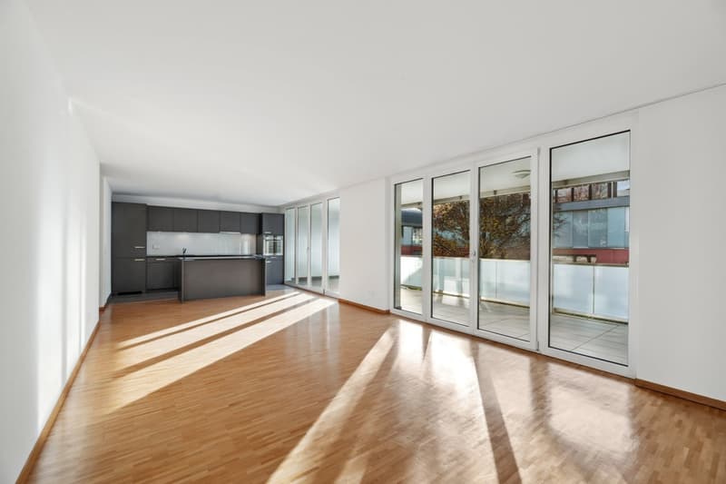 Modern apartment seeking new tenants (11)