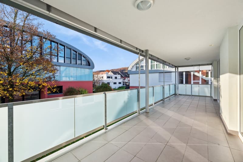 Modern apartment seeking new tenants (3)