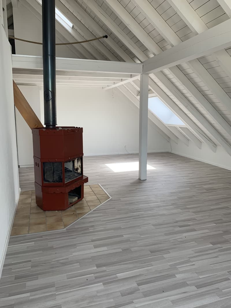 3-Bedroom Attic Apartment (2)