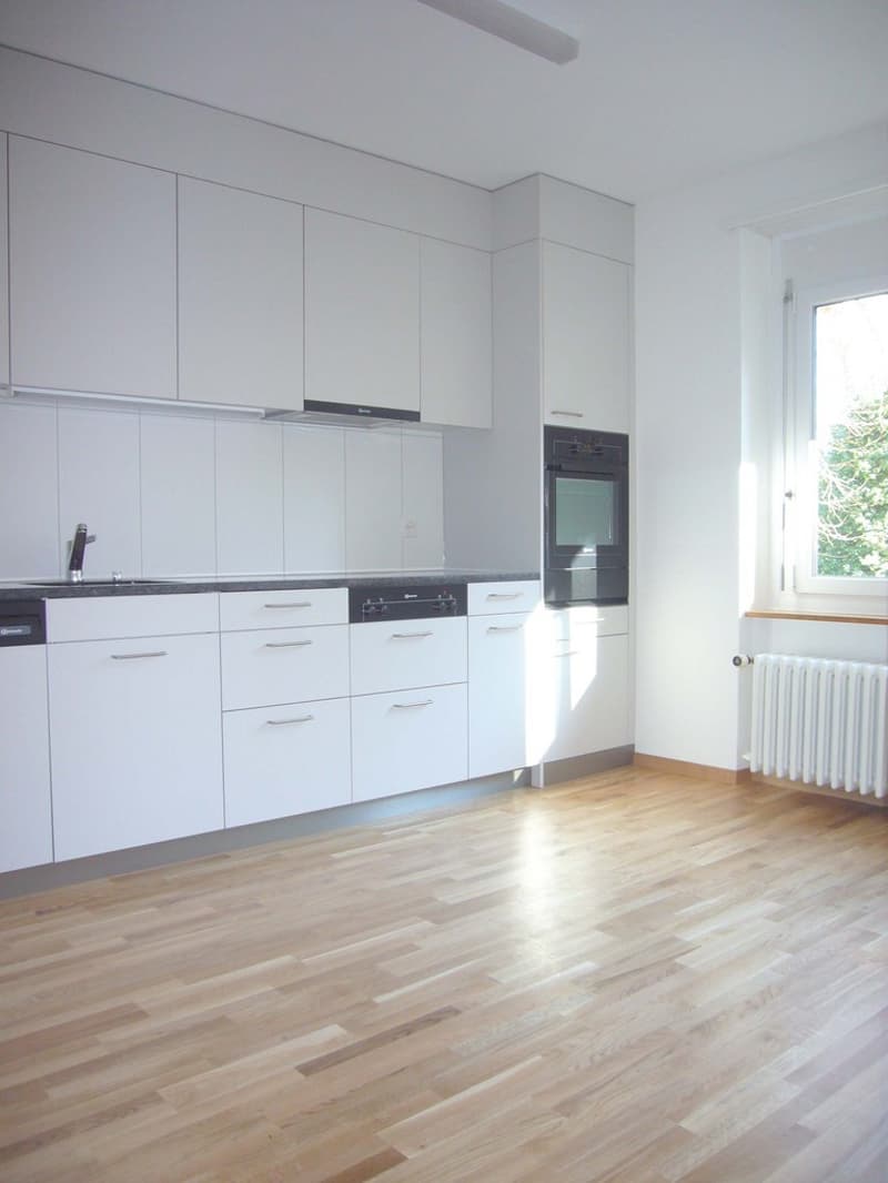 3,5 Zimmerwohnung in Gundeli (2)