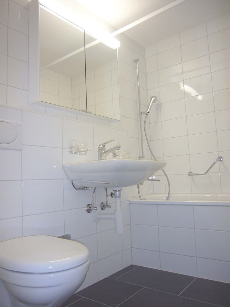 3,5 Zimmerwohnung in Gundeli (4)