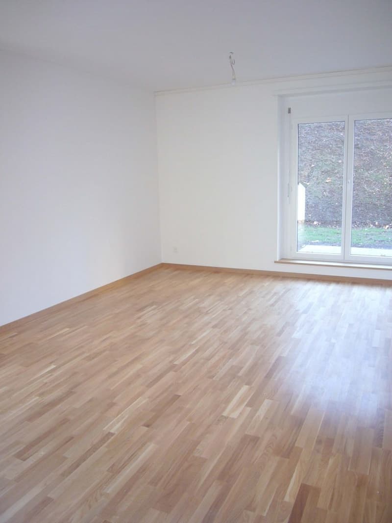 3,5 Zimmerwohnung in Gundeli (3)