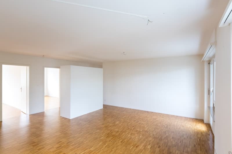3 Zimmerwohnung in Frenkendorf (3)