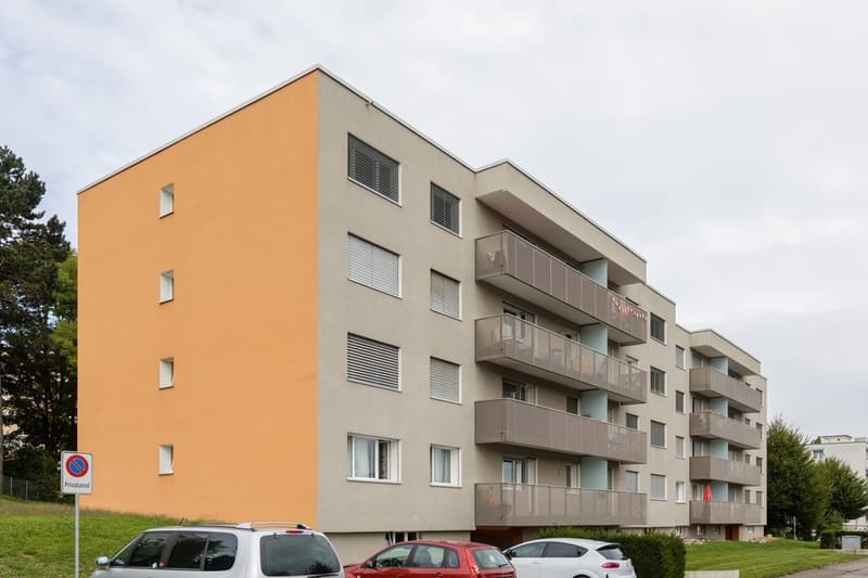3 Zimmerwohnung in Frenkendorf (1)