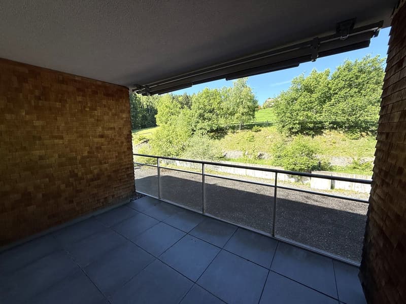 3.5-Zi-Wohnung mit 28 m² Terrasse in Grub AR kaufen (9)