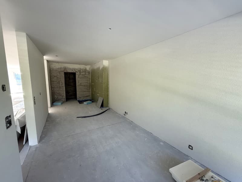3.5-Zi-Wohnung mit 28 m² Terrasse in Grub AR kaufen (11)