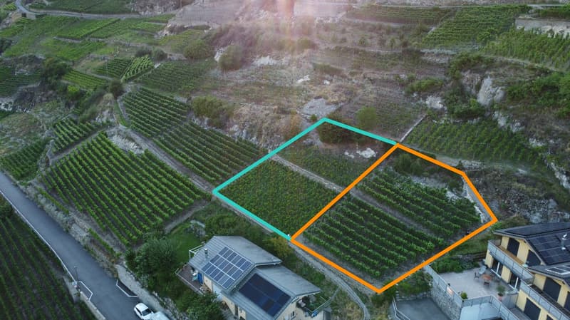 Bauplatz von 988 m² auf dem Hügel von Branson in Fully – seltene Gelegenheit (3)