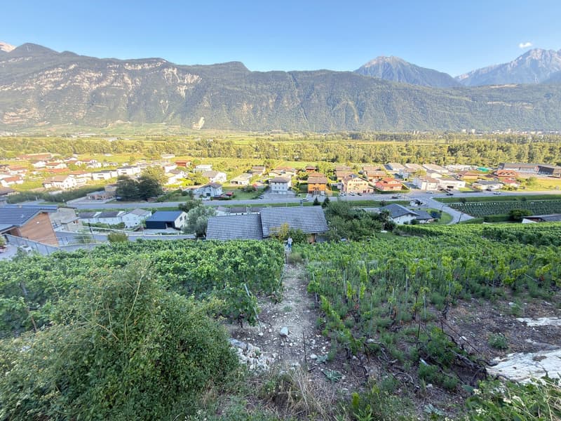 Bauplatz von 988 m² auf dem Hügel von Branson in Fully – seltene Gelegenheit (4)