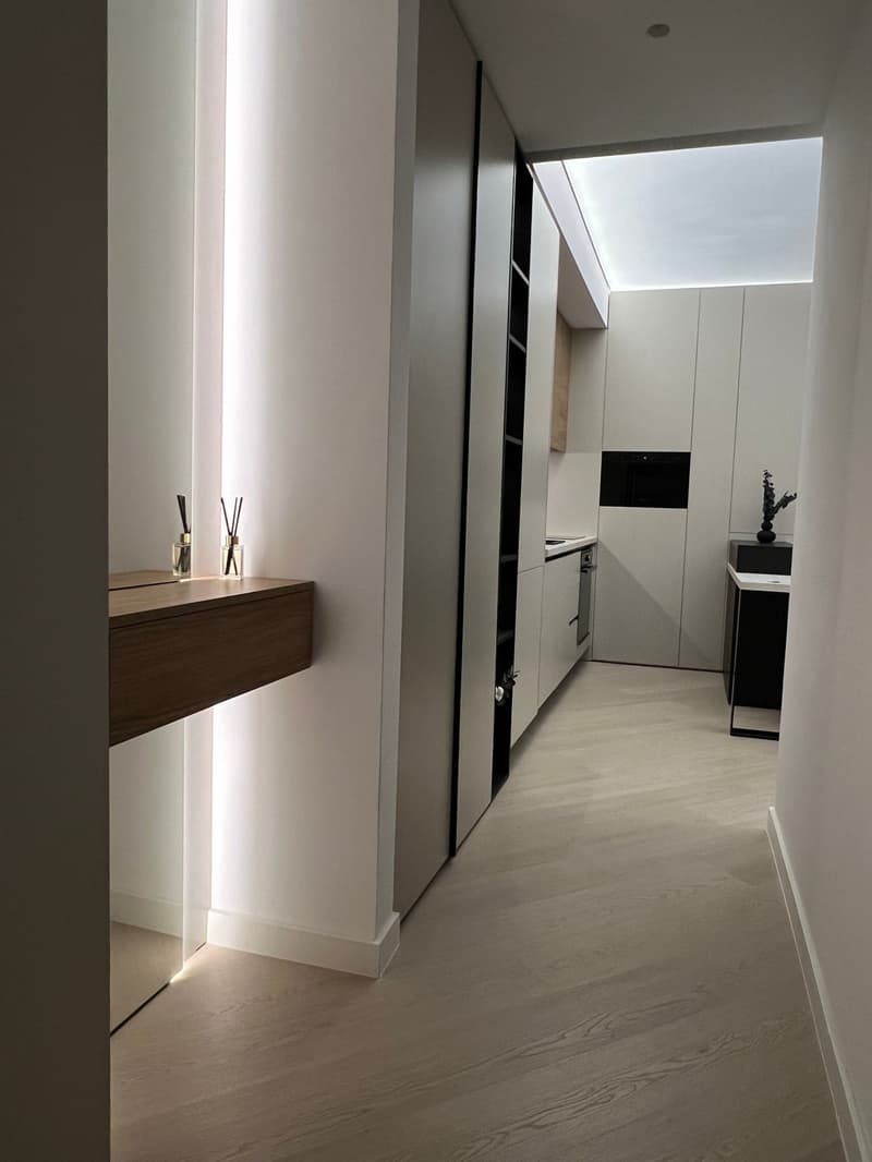 Charming 2-Room Apartment in Zürich's Vibrant District 4 (9)