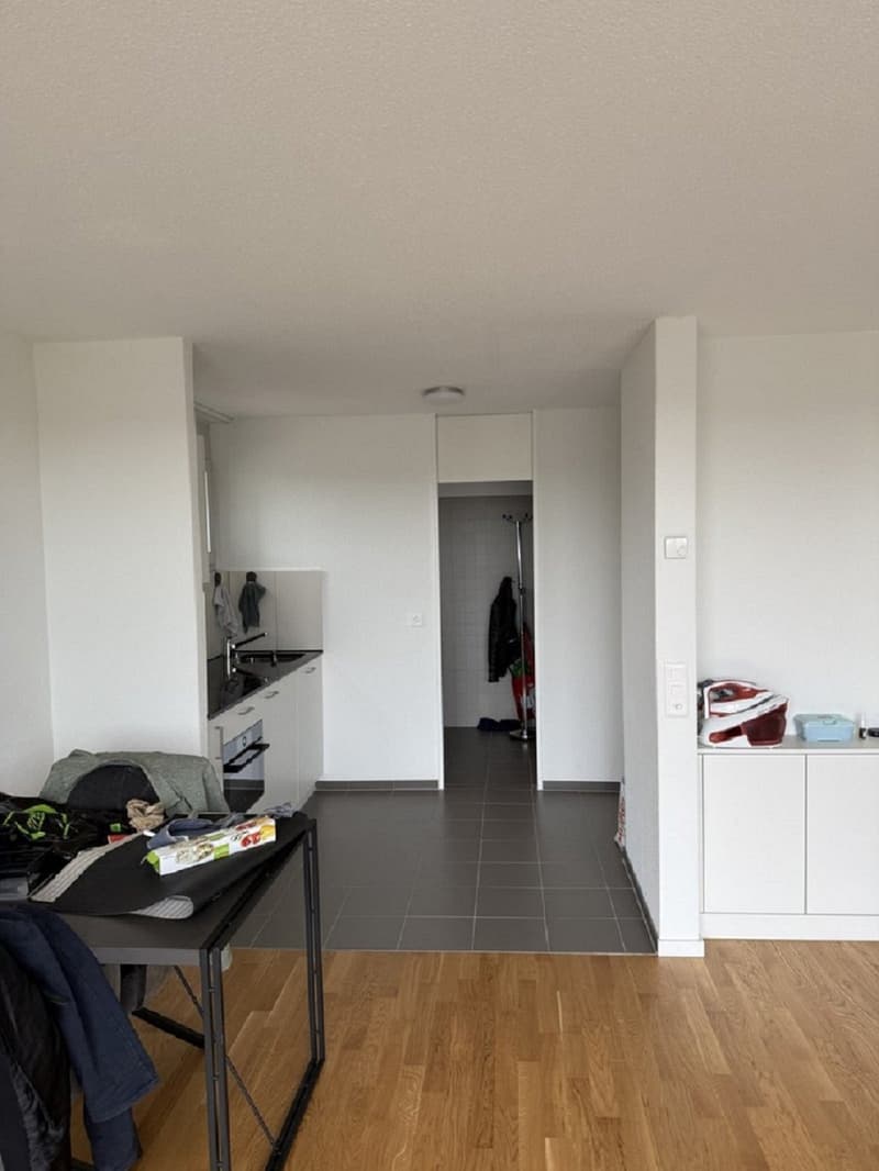 Moderne 1-Zimmer-Wohnung mit Balkon in Solothurn sofort verfügbar! (5)
