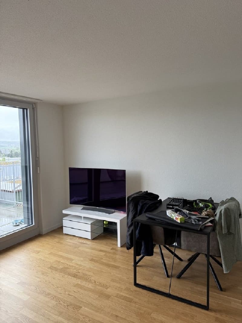 Moderne 1-Zimmer-Wohnung mit Balkon in Solothurn sofort verfügbar! (2)