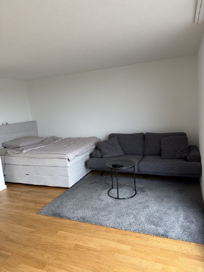 Moderne 1-Zimmer-Wohnung mit Balkon in Solothurn sofort verfügbar! (3)