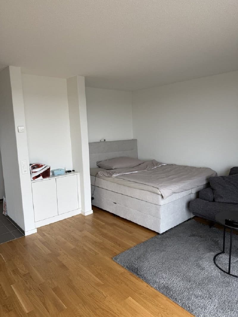 Moderne 1-Zimmer-Wohnung mit Balkon in Solothurn sofort verfügbar! (4)