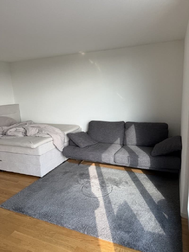 Moderne 1-Zimmer-Wohnung mit Balkon in Solothurn sofort verfügbar! (6)