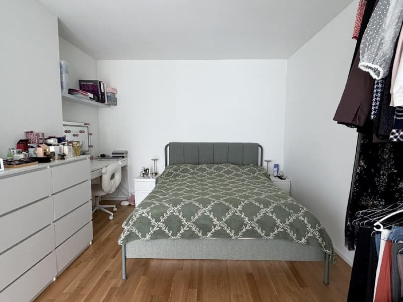 2 ½ Zimmer-Wohnung, 8045 Zurich (7)