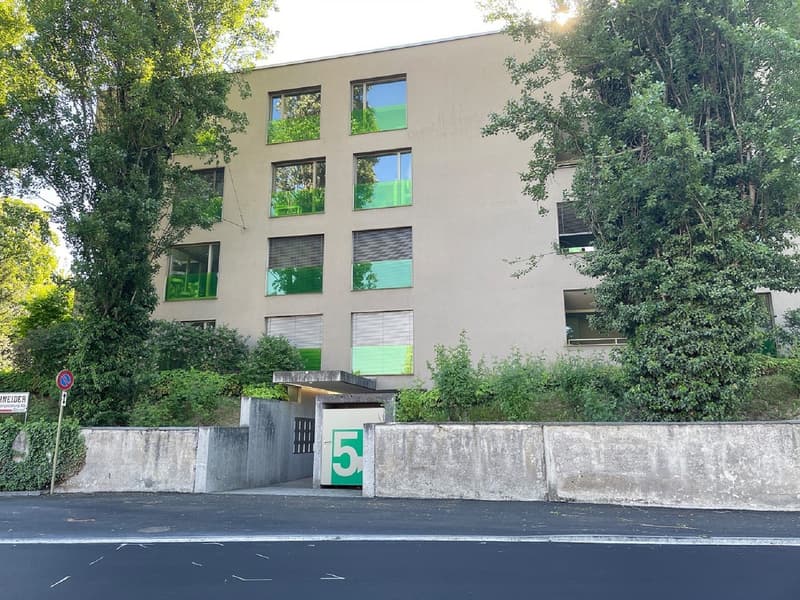 Helle 2,5-Zimmer-Wohnung mit Balkon in Binningen sofort verfügbar! (8)