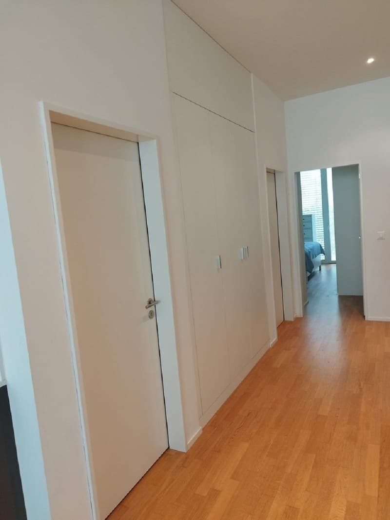 Helle 3-Zimmer-Wohnung mit Balkon in Dietikon  sofort verfügbar! (2)