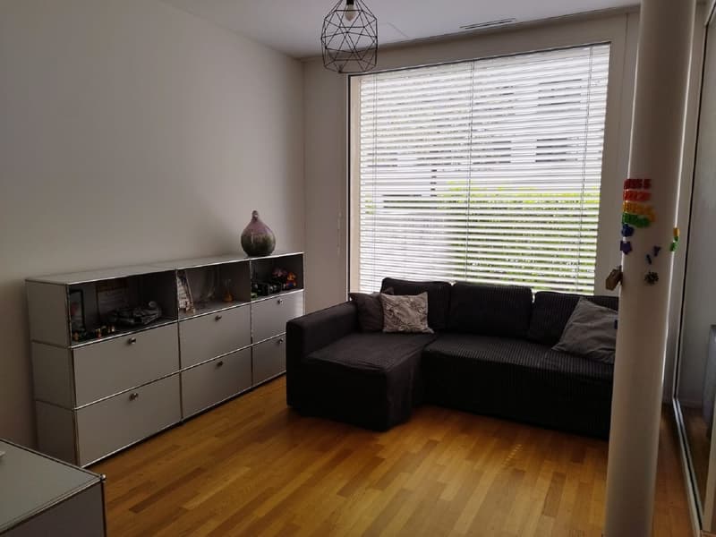 Helle 3-Zimmer-Wohnung mit Balkon in Dietikon  sofort verfügbar! (5)