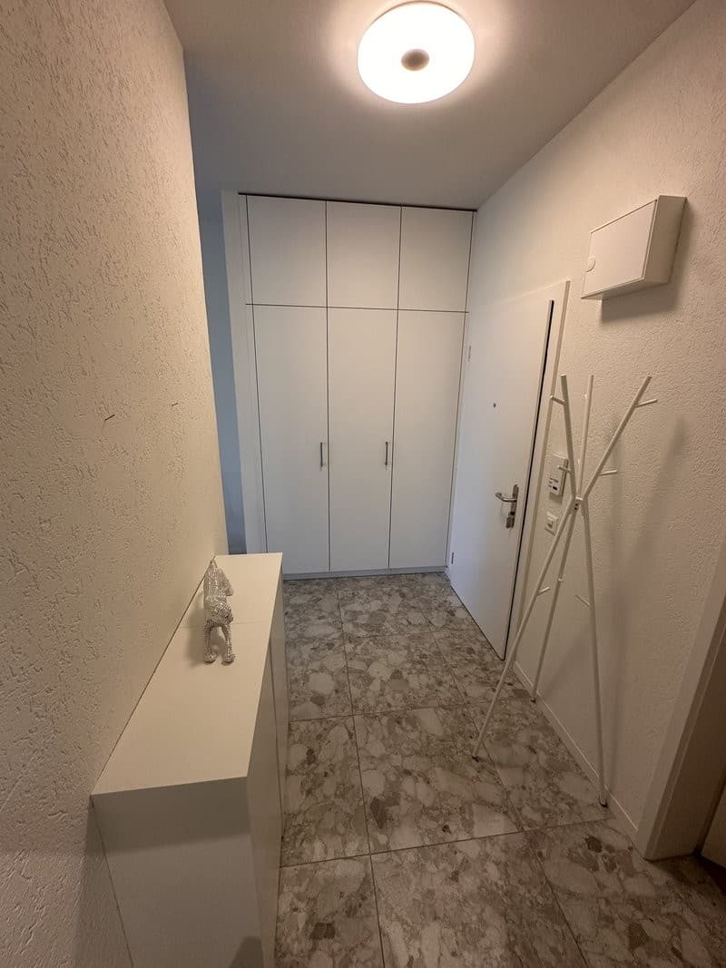 Helle 3-Zimmer-Wohnung mit Balkon in Zürich-Schwamendingen (5)