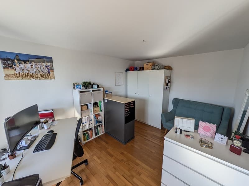 Moderne 3-Zimmer-Wohnung mit Balkon in Winterthur (3)